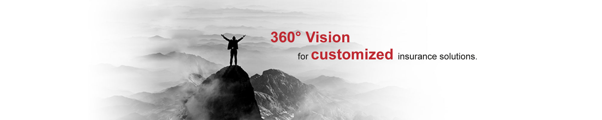 360 degree vision for customized insurance solutions.