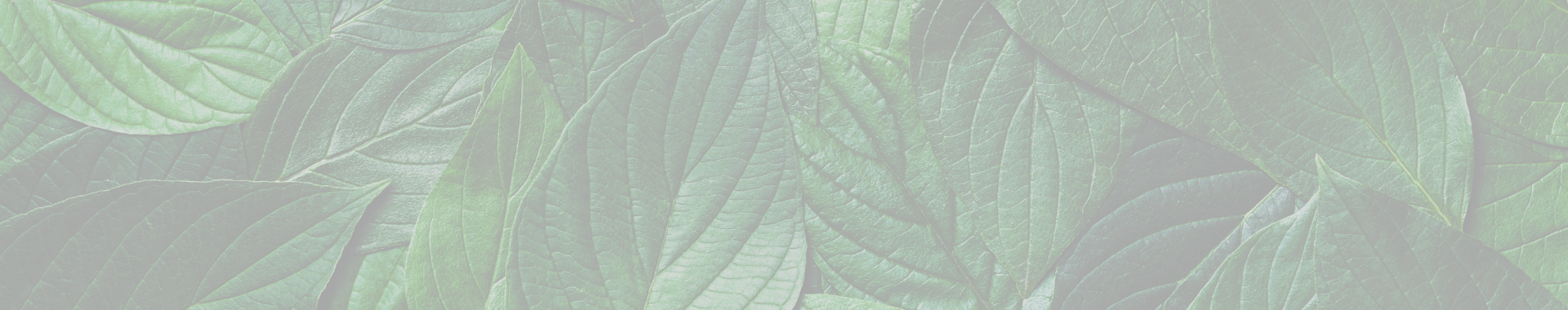 Des solutions exclusives conçues pour les médecins.